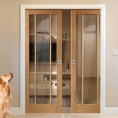 a dog standing in front of an open door with glass panels on the inside and outside