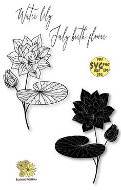 some black and white flowers with the words, water lily fly by the flower on it