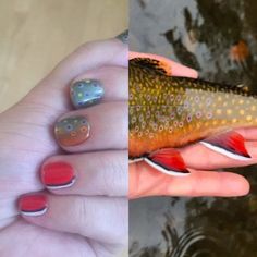 Trout Nails, Fish Nails Designs, Fish Nail Art, Fish Nails, Nails Painted, Brook Trout, Nail Pictures, New Identity