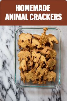 Homemade animal cracker cookies from scratch! Animal Cracker Cookies, Kid Friendly Cookie Recipes, Easy Homemade Baby Food, Cracker Dessert, Animal Cracker, Cracker Cookies