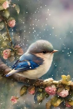 a blue bird sitting on top of a tree branch in the rain with pink flowers