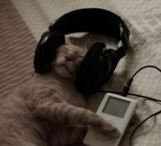 a cat laying on top of a bed wearing headphones