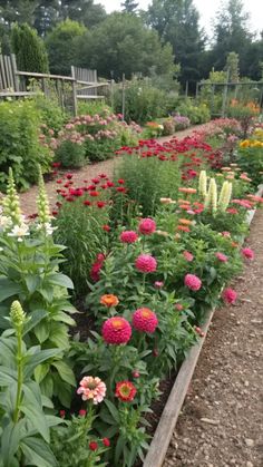 a garden filled with lots of colorful flowers