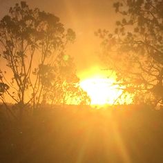 the sun is setting behind some trees