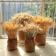 three vases filled with dried plants on top of a white rug in front of a window