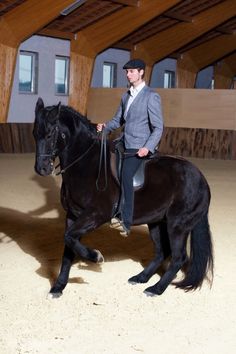 a man riding on the back of a black horse