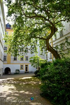 an apartment building with trees in the courtyard