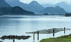 a body of water with mountains in the background and boats docked on it's sides