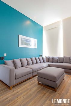 a living room with blue walls and wooden flooring is pictured in this image, the couches are facing each other