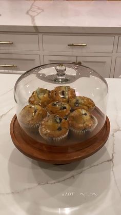 some muffins are under a glass dome on a counter