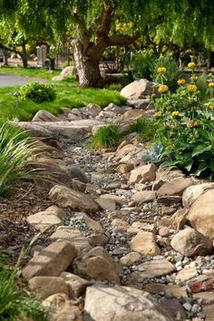 a garden with rocks and plants next to the road in front of some trees, grass and flowers