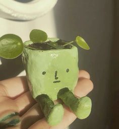 a person holding a small green plant in their hand