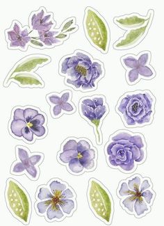 purple flowers and leaves stickers on a white background, with green leaves in the middle