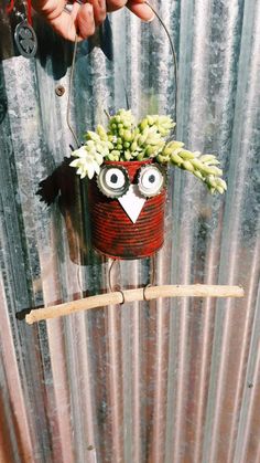 a hand holding a plant with an owl face on it's head hanging from a metal fence