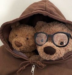 two brown teddy bears wearing glasses in a hoodie