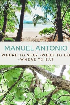 the cover of manuel antonio's book where to stay what to do, where to eat