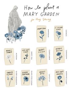 how to plant a mary garden for mary spring