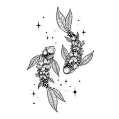 two flowers with leaves and stars in the background on a white paper, black ink