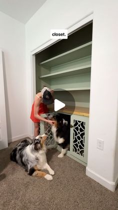 two dogs playing with each other in front of a bookshelf that is open