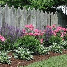 a garden with pink and purple flowers in front of a white picket fence, surrounded by green grass