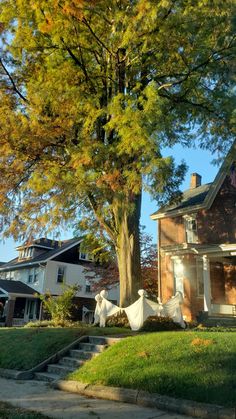 a house with a tree in front of it and some clothes hanging out to dry