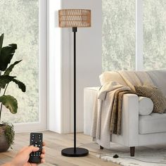 a person holding a remote control in front of a living room with a couch and potted plant