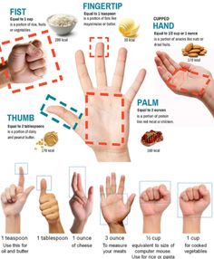 Portion Size Guide, Nutrition Infographic, Track Calories, Gym Nutrition, Nutrition Month, Muscle Food, Portion Sizes, Nutrition Education, Make Good Choices