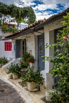 a white house with blue shutters and potted plants