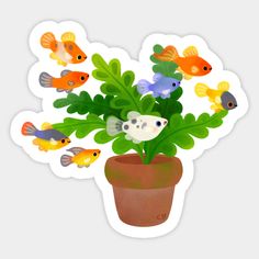 a potted plant with fish on it