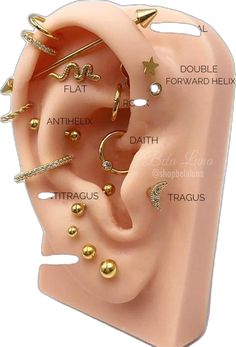 an ear with different types of piercings on it