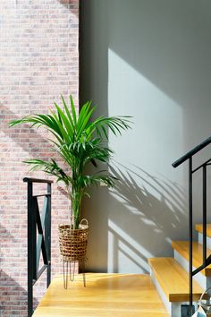 a potted plant sitting on top of a wooden step next to a stair case