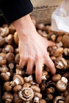 a person reaching for mushrooms in a bin