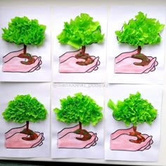 four pictures of trees in different stages of growing and being held by someone's hand