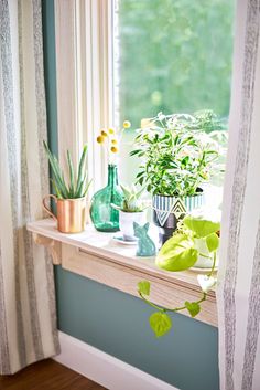 a window sill filled with potted plants next to a green plant on top of a windowsill