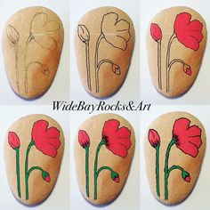 six painted rocks with flowers on them and the words wide bay rocks art written in green ink