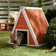 a cat in a dog house on the grass