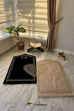 a living room with two rugs and a potted plant in front of the window