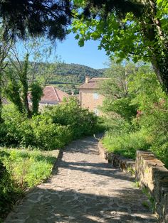 a stone path in the middle of a lush green field