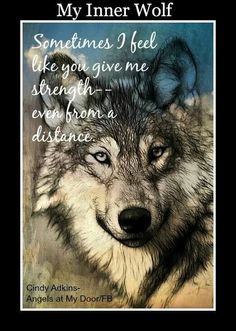 a wolf with the words, my inner wolf sometimes i feel like you give me strength even from a distance