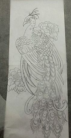 a drawing of a peacock sitting on top of a piece of paper