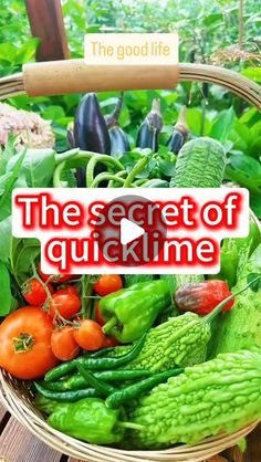 a basket filled with lots of different types of vegetables