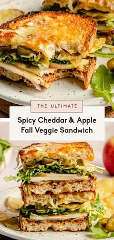 the ultimate spicy cheddar and apple fall veggie sandwich is shown here