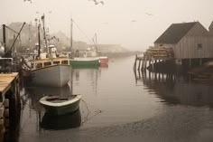 several boats are docked in the harbor on a foggy day with seagulls flying overhead