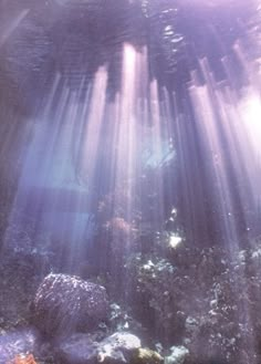 an underwater scene with sunlight streaming through the water