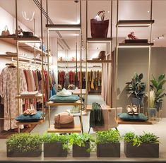 the inside of a clothing store with clothes and plants