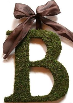 the letter b is made out of moss and tied with a brown bow on top