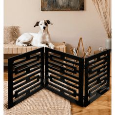 a dog sitting on top of a wooden box in front of a painting and rug