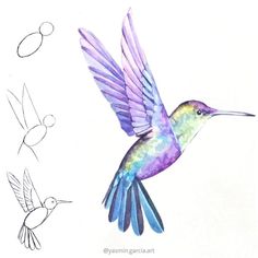 a drawing of a hummingbird flying in the air with another bird nearby to it