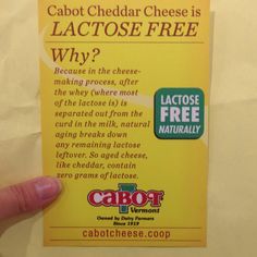 Aged cheese is lactose free?! What?! Sweet! Yeast Allergy, Dairy Idea, Lactose Intolerant Recipes, Lactose Free Cheese, Cheese Making Process, Lactose Intolerance, Aged Cheese, Grapefruit Diet