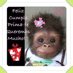 a monkey wearing a bow tie with the caption feliz cumple primae regemos muncho